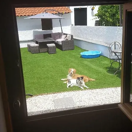 Casal Da Vinha
